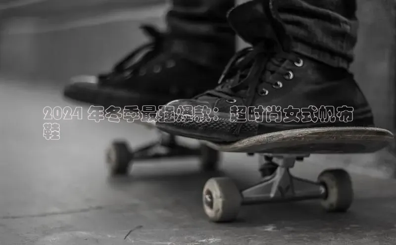 意昂2登录百度网盘2024 年冬季最强爆款：超时尚女式帆布
鞋