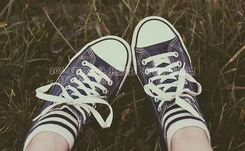 意昂2官网文心一言2024 潮款尖头小女鞋：引领时尚潮流
，打造精致风范