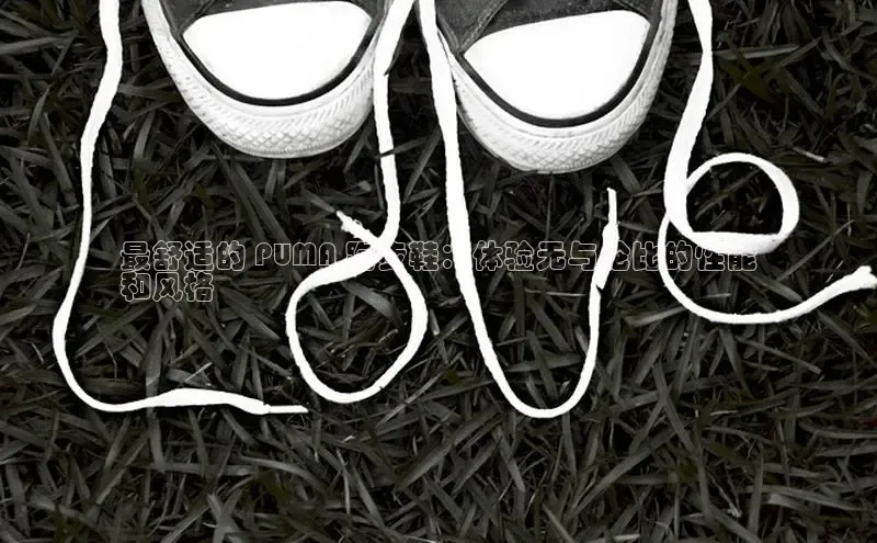 意昂2账号登录入口百度教育最舒适的 PUMA 跑步鞋：体验无与伦比的性能
和风格