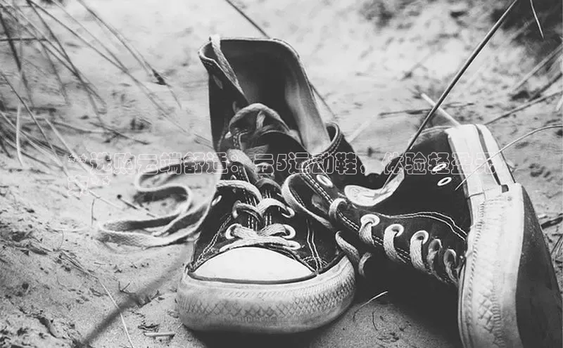 意昂2体育在线平台登录美团**选购云端舒适：云5运动鞋，体验轻盈无
束**