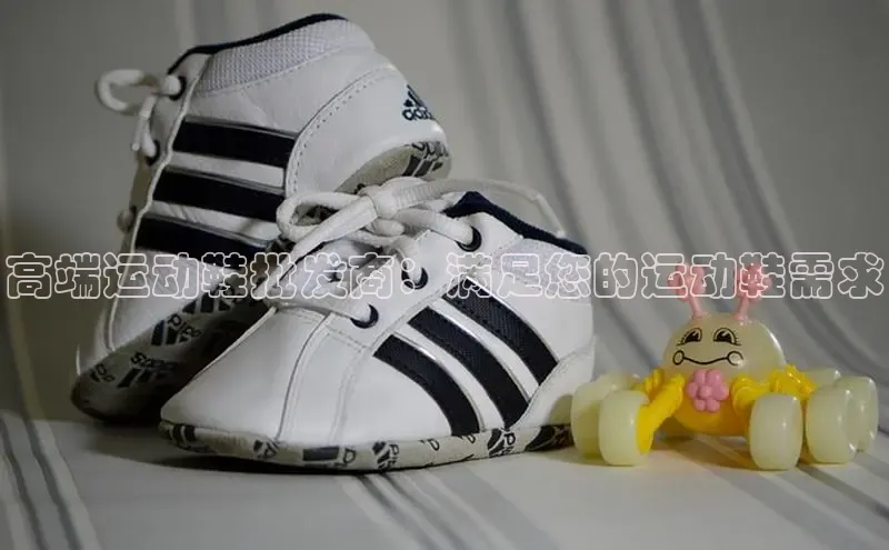 意昂2账号登录入口天键股份高端运动鞋批发商：满足您的运动鞋需求