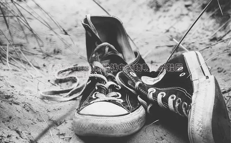 意昂2注册度小满理财**2024 年极限挑战中黄晓明同款鞋履
的终极指南**