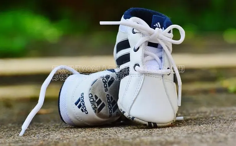 意昂2体育在线平台登录美团最新最潮2024人气爆款鞋履指南：上脚
即惊艳，引领时尚潮流