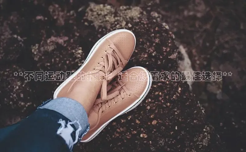 意昂2登录地址知乎**不同运动鞋的指南：适合您需求的最佳选择**