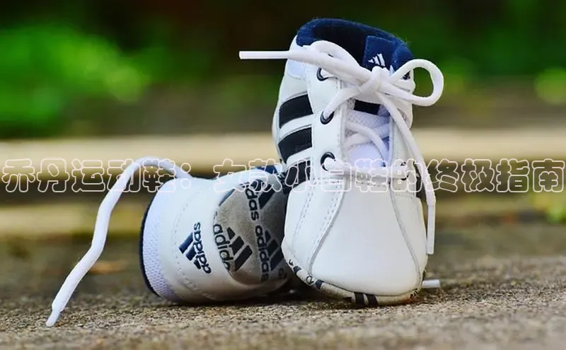 意昂2登录地址雷柏科技乔丹运动鞋：女款小白鞋的终极指南