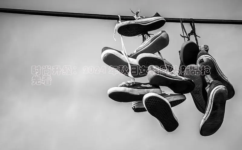 意昂2登录地址百度人工翻译时尚升级：2024 年秋日女鞋圆头新品抢
先看