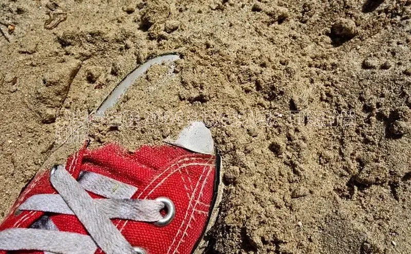 意昂2注册度小满理财男装学生鞋 2024 新款高级感：引领时尚
潮流