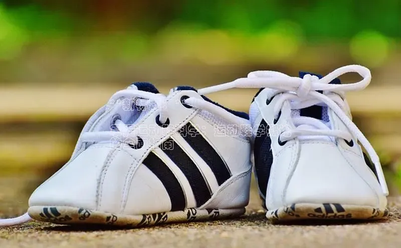 意昂2注册度小满理财**新标题：**

掌握运动鞋科学：运动鞋学概论
的全面指南