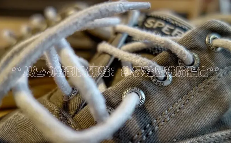 意昂2登录地址百度大脑**从运动鞋到高跟鞋：终极鞋履进阶指南**