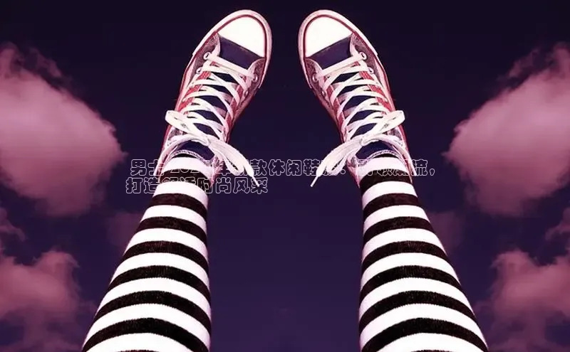 意昂2官网文心一言 男士 2024 年新款休闲鞋款：引领潮流，
打造舒适时尚风采