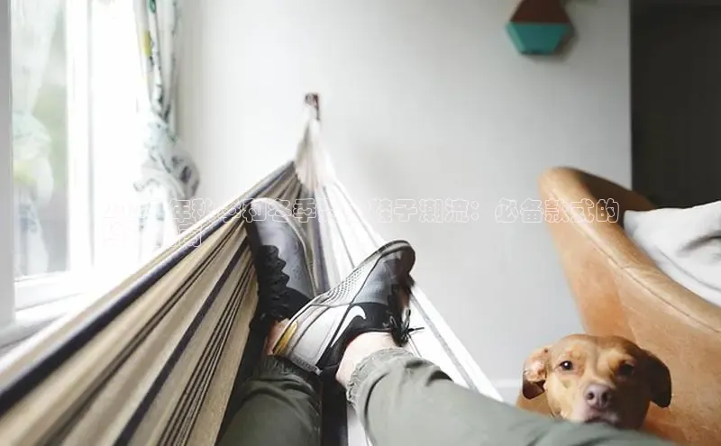 意昂2登录入口58同城2024 年秋季和冬季男士鞋子潮流：必备款式的
终极指南