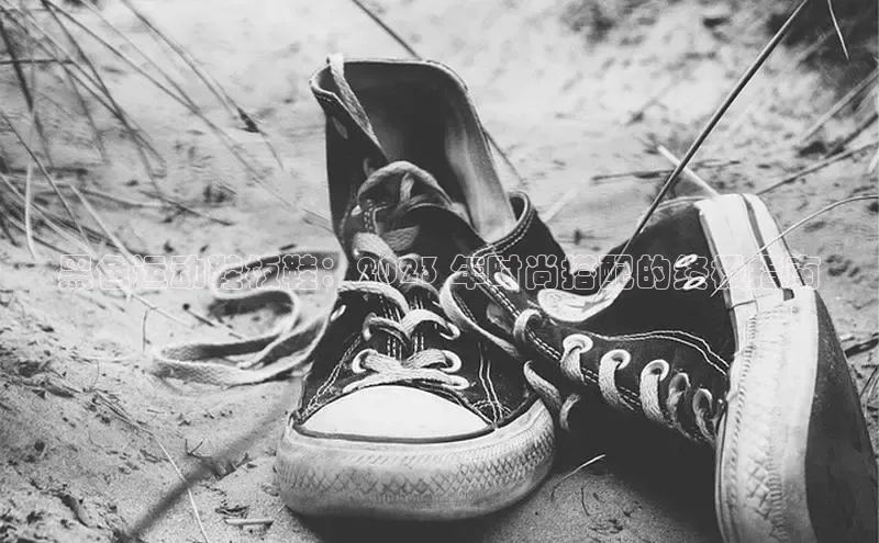 意昂2百度网盘企业版黑色运动鞋板鞋：2023 年时尚搭配的终极指南