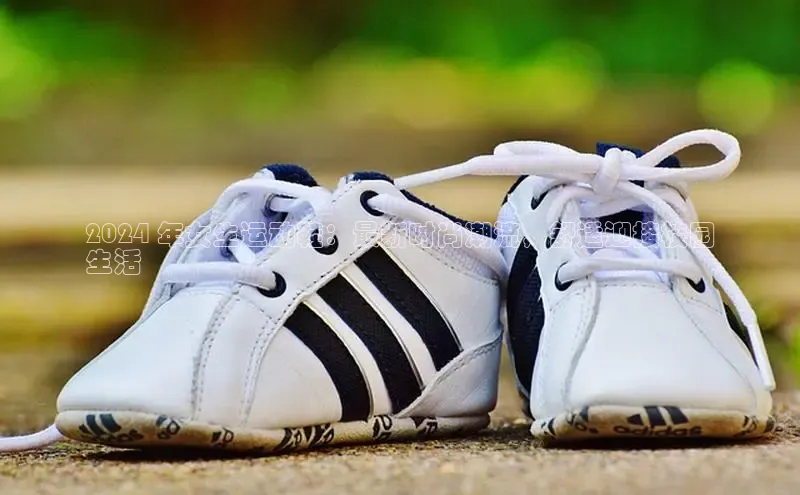 意昂2百度翻译App2024 年女生运动鞋：最新时尚潮流，舒适迎接校园
生活