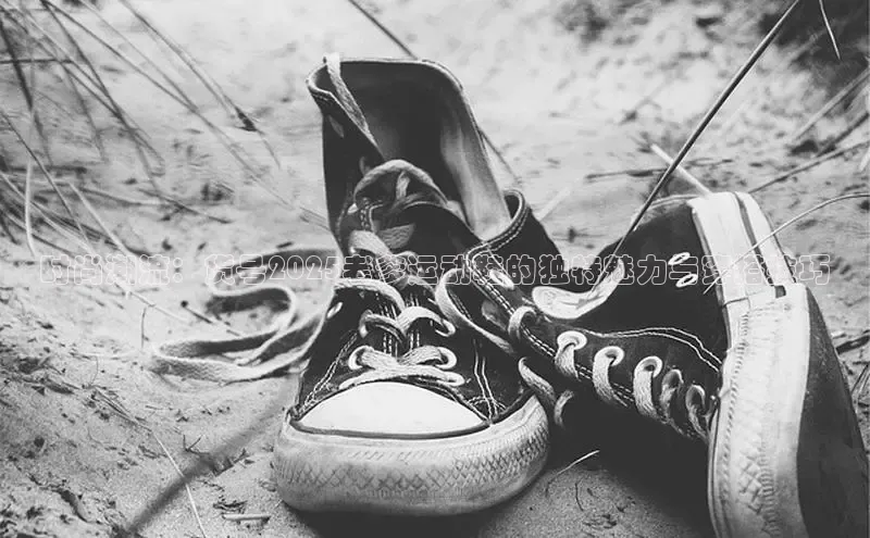 意昂2登录入口百度营销中心时尚潮流：货号2025老爹运动鞋的独特魅力与穿搭技巧