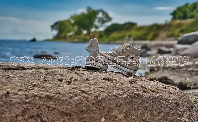 未来：2025年前的网红男士运动鞋趋势