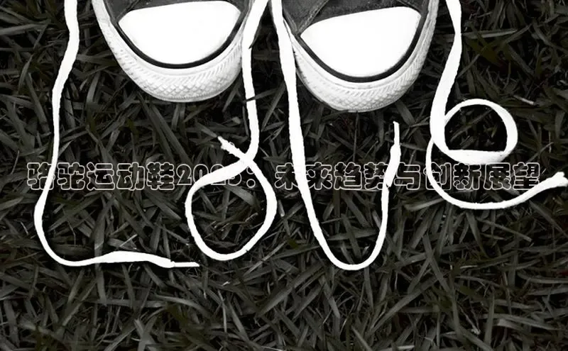 骆驼运动鞋2025：未来趋势与创新展望